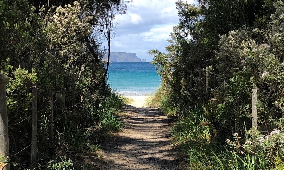Three Capes Track trailhead